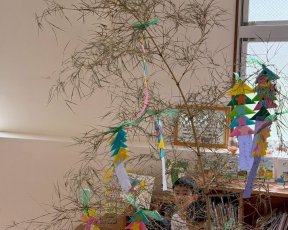 全園児★七夕